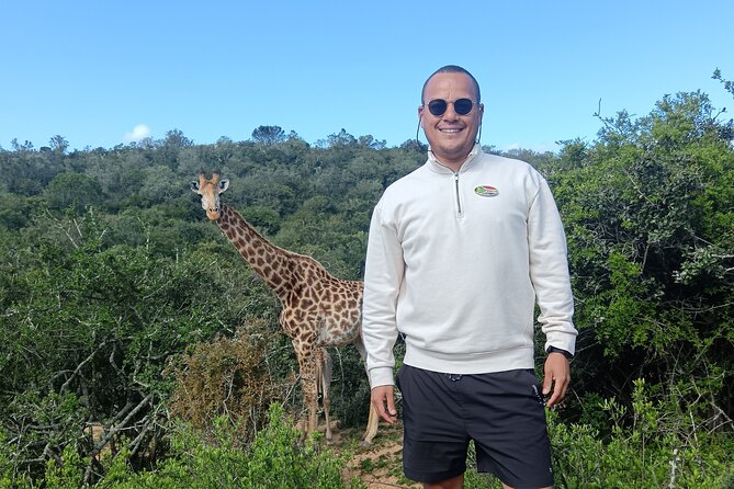 Addo Elephant National Park and Giraffe Walk Tracking Safari - Why this Addo and giraffe combination works