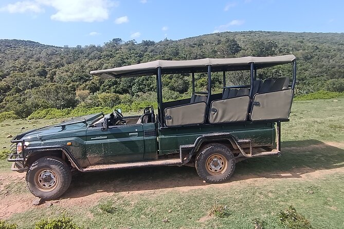 Addo Elephant National Park and Giraffe Walk Tracking Safari - What the $183.89 price really covers