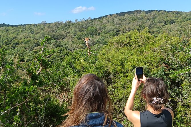 Addo Elephant National Park and Giraffe Walk Tracking Safari - Who will enjoy this day most