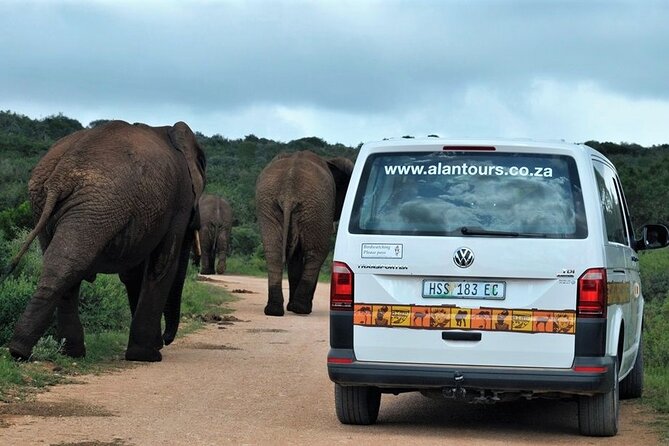 Addo Elephant National Park from Port Elizabeth - FD01 - Lunch, drinks, and what the price covers