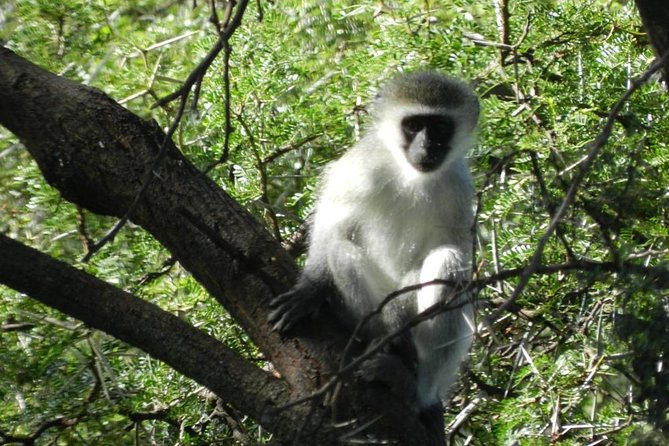 Addo Elephant National Park from Port Elizabeth - FD01 - How the 10-hour schedule feels