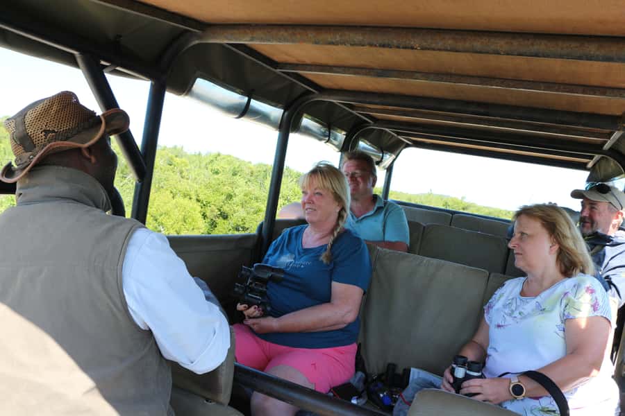 Addo Elephant National Park Game Drive Day Tour With Lunch - Lookout breaks, coffee, and time to reset