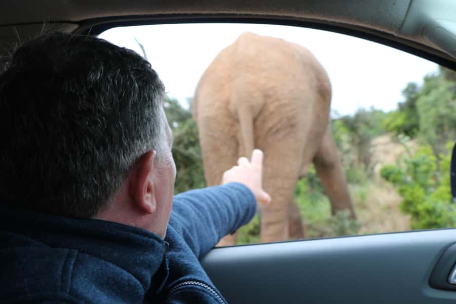 Addo Elephant National Park Game Drive Day Tour With Lunch - Is $236 a fair price?