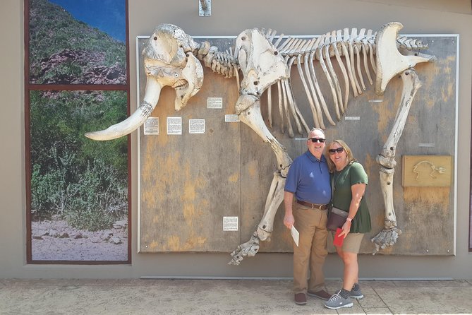 Addo Elephant National Park Tours from Port Elizabeth - Half-day or full-day: choosing the right length