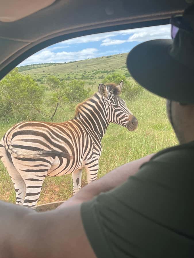 ADDO ELEPHANT PARK - The Views, Stops, and Photo Time