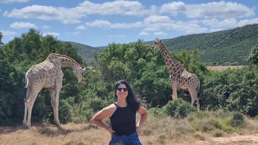 Addo Elephant Park and Giraffe Walk Full Day Safari - Key points to know before booking