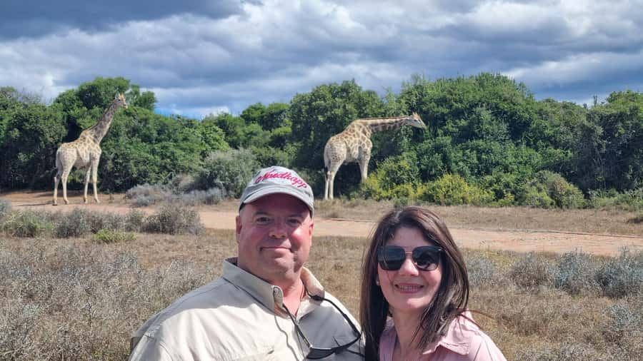 Addo Elephant Park and Giraffe Walk Private Full Day Safari - Entering Addo Elephant National Park