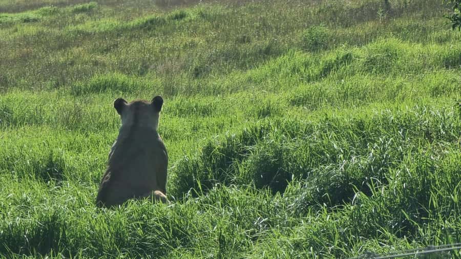 Addo Elephant Park and Kragga Kamma Game Park Combo - A practical stop at Nanaga Farm Stall