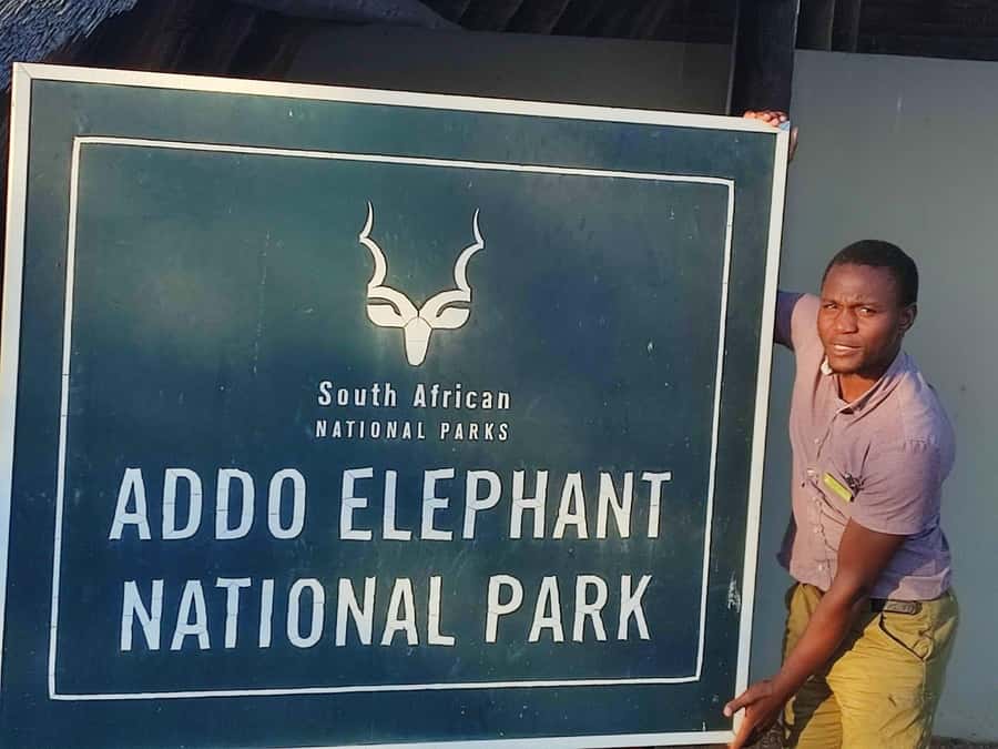 Addo Elephant Park Tours. Full Day - Why Addo makes a good one-day safari