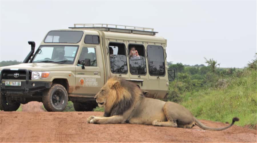 Addo National Park: Guided Half-Day Safari - Is the $81 price good value?