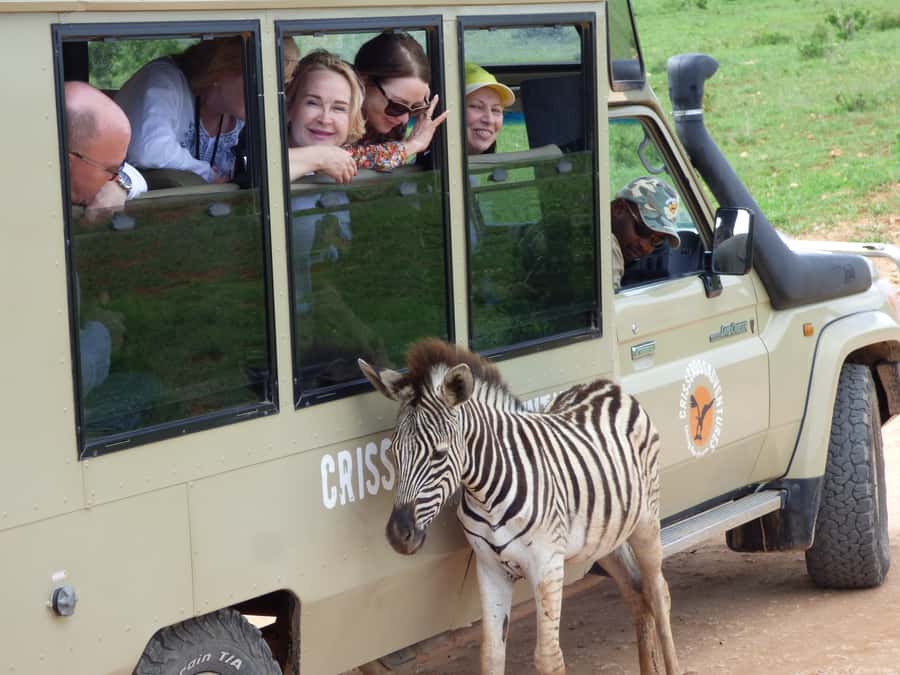 Addo National Park: Guided Half-Day Safari - Meeting at Addo village and starting the drive