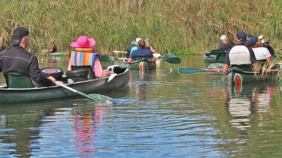 Addo River Safari - Guided Tour via Canoe - Wildlife Beyond Birds