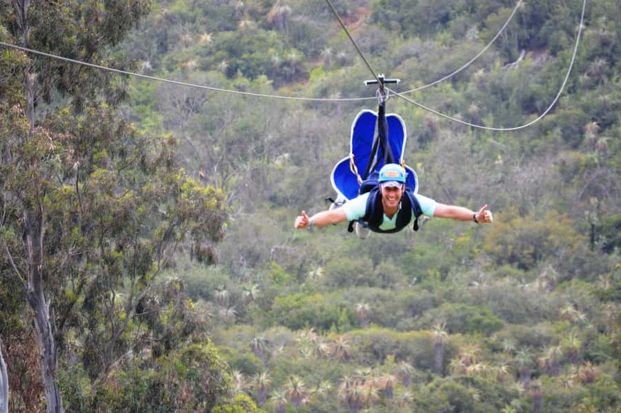Adrenalin Addo Adventure Park: Superman Zipline - Key points to know before you book