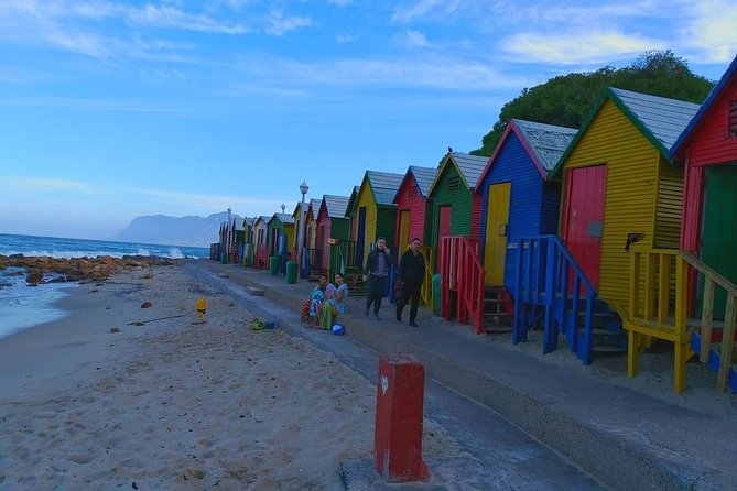 African Penguins (Boulders Beach) Half Day tour from Cape Town - Why Boulders Beach deserves the half-day