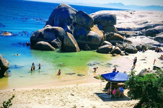 African Penguins (Boulders Beach) Half Day tour from Cape Town - Is $57.66 good value?