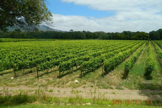 African Story Wine Tours in the Cape Winelands - Lunch at Le Pommier gives the day a proper pause