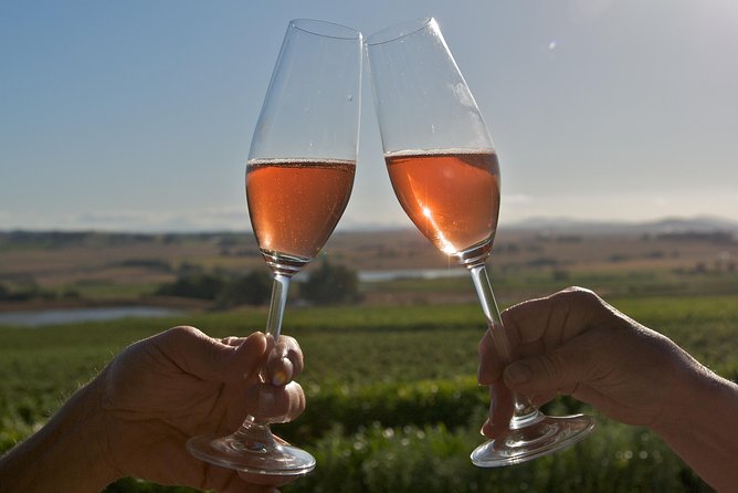 African Story Wine Tours in the Cape Winelands - Who will enjoy this day most?