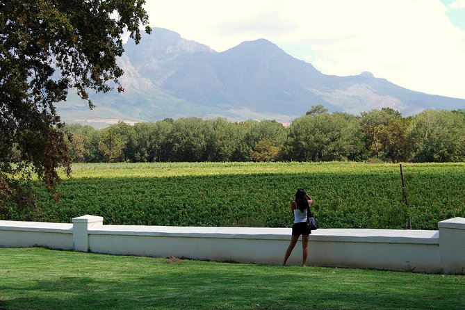 African Story Wine Tours in the Cape Winelands - Morning pickup keeps the day simple