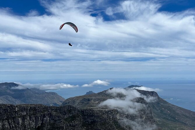 African Wonder of Nature Table Mountain Hike. - Fynbos, animals, and a closer look at nature
