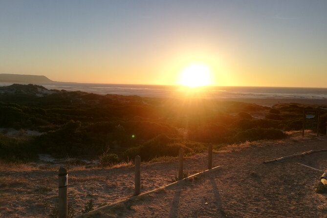 Airport Shuttle to and from Cape Town Airport - Price, timing, and who gets the best value