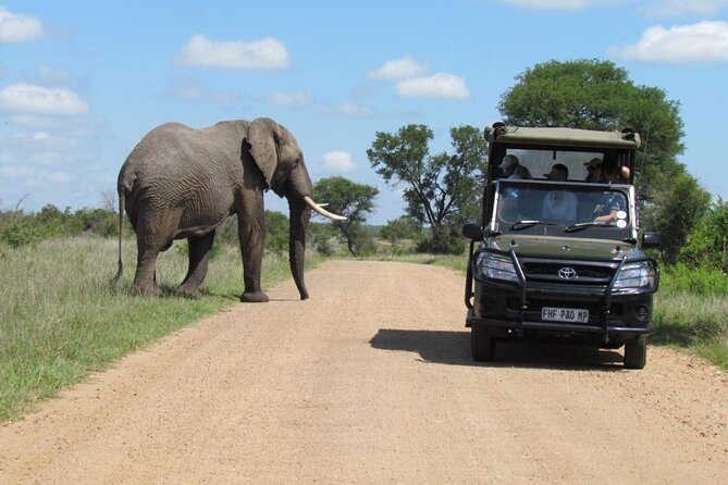 All Inclusive 2 Day Kruger Safari from Johannesburg - The final drive toward the park exit