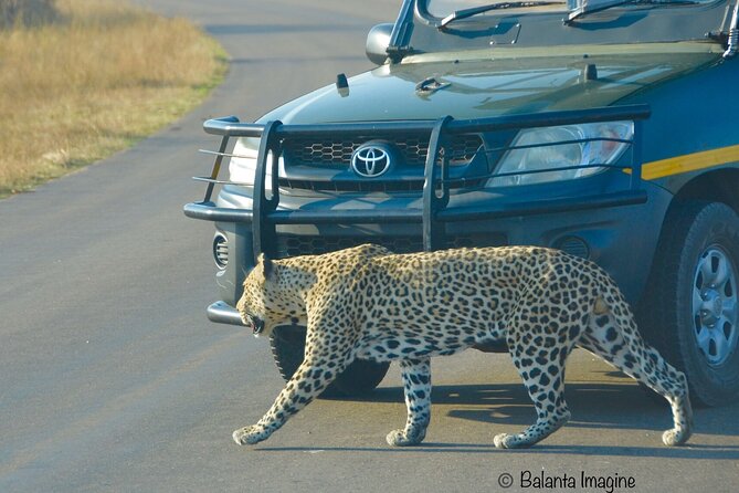 All Inclusive 3 Day Kruger Safari Adventure From Johannesburg - Day 2: dawn wildlife, a midday pause, and Crocodile River