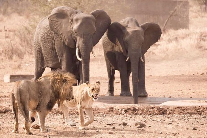 All Inclusive 3 Day Kruger Safari Adventure From Johannesburg - Vehicle comfort and weather protection