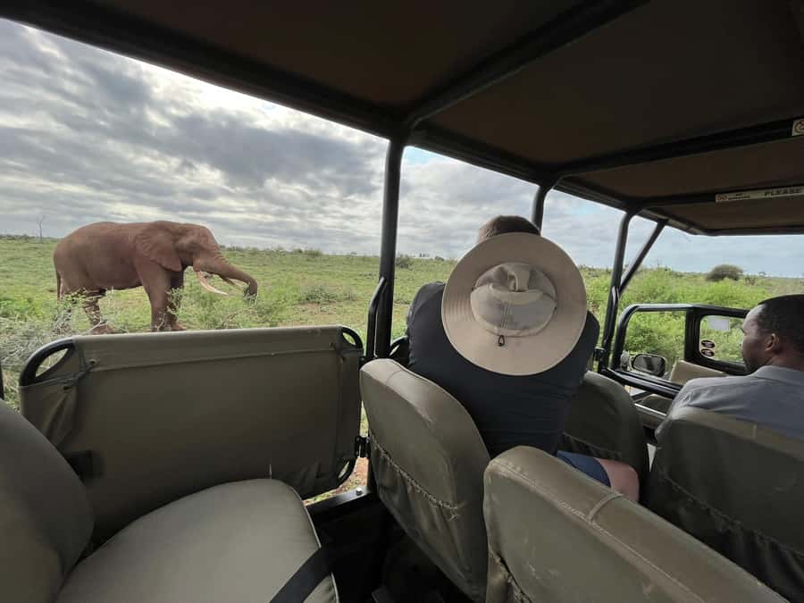All Inclusive 3 Day Kruger Safari from Nelspruit - Why this Kruger package works well from Nelspruit