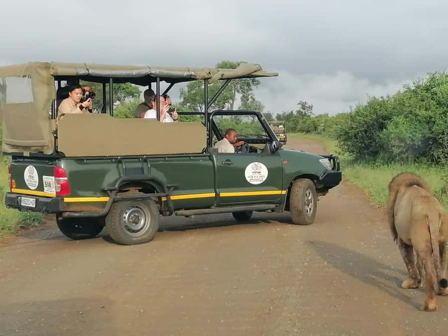 All Inclusive 3 Day Kruger Safari from Nelspruit - Three guided drives in southern Kruger