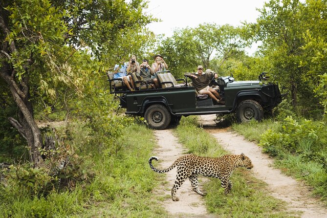All inclusive BIG 5 Kruger 2 Day Safari from Johannesburg - Key points to know before booking