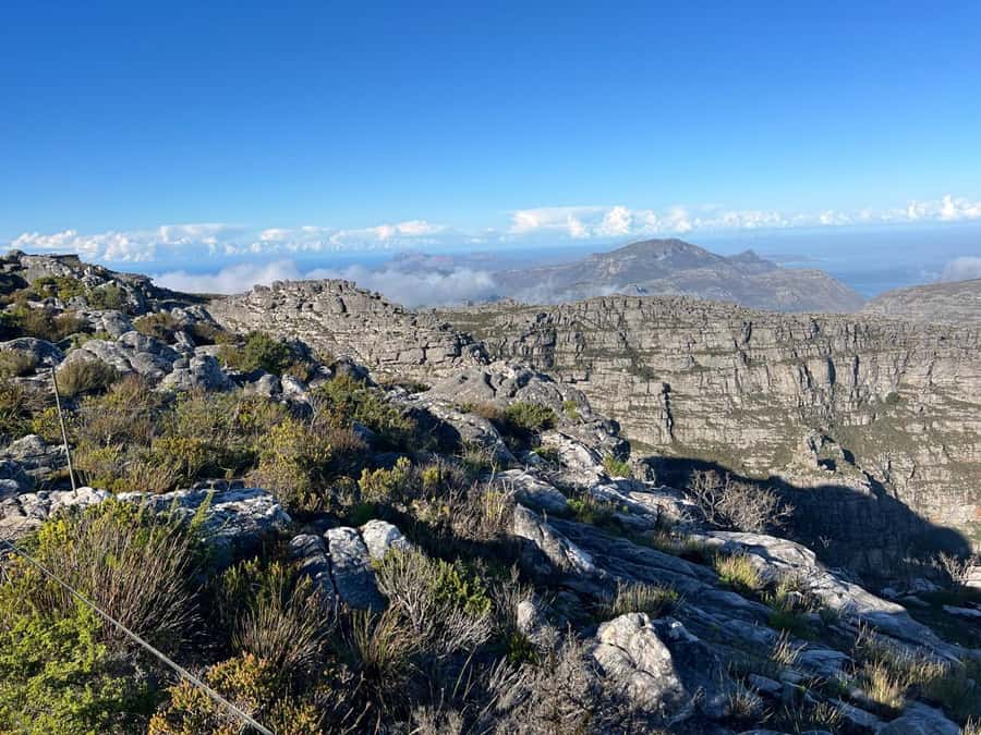 An Exclusive Full-day Tour of Table Mountain & Robben Island - Key points to know before booking