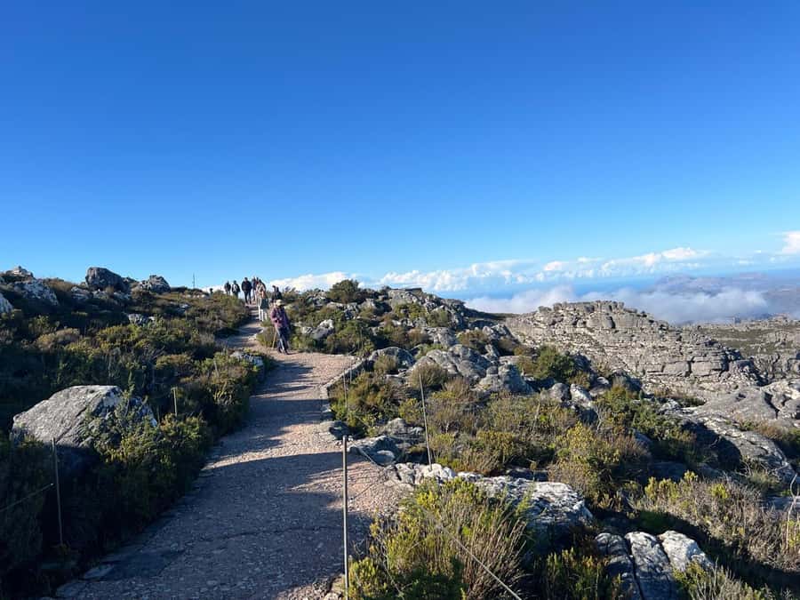 An Exclusive Full-day Tour of Table Mountain & Robben Island - Robben Island and Cell 18
