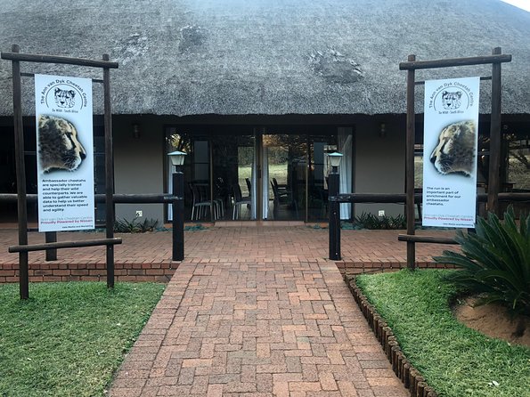 Ann Van Dyk Cheetah Centre Tour from Johannesburg or Pretoria - Key points to know before booking