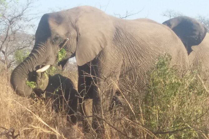 Aquila big five safari with transport, lunch Exclusive park fee. - Arriving at Aquila Game Reserve
