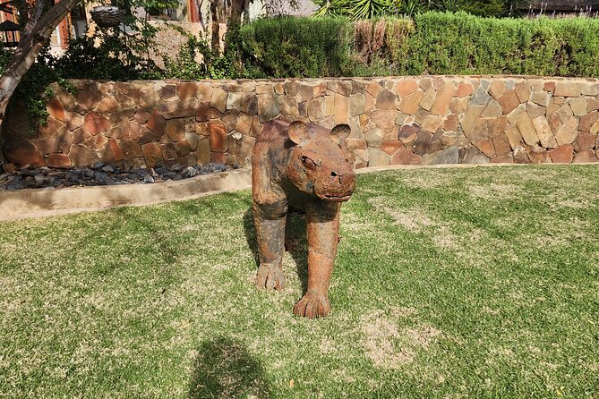 Aquila big five safari with transport, lunch Exclusive park fee. - The two to three-hour game drive