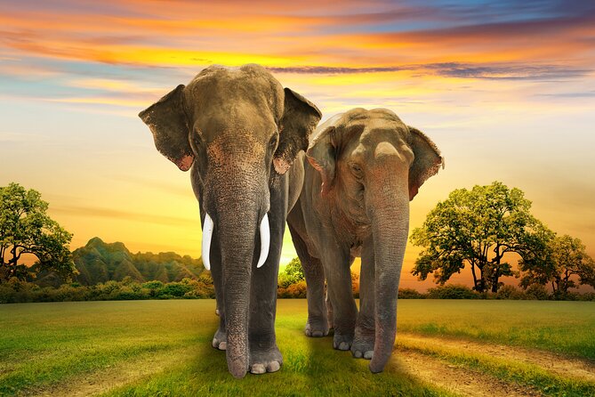 Aquila Game Reserve Safari with Park Fees, Transport & Lunch - The Ride Back and the Real Length of the Day