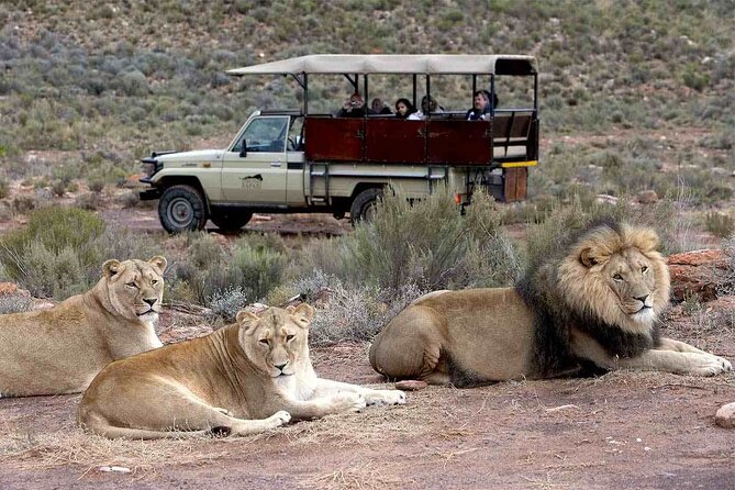 Aquila Game Reserve Safari with wine tasting, Transport & Lunch - What the price includes, and what it does not