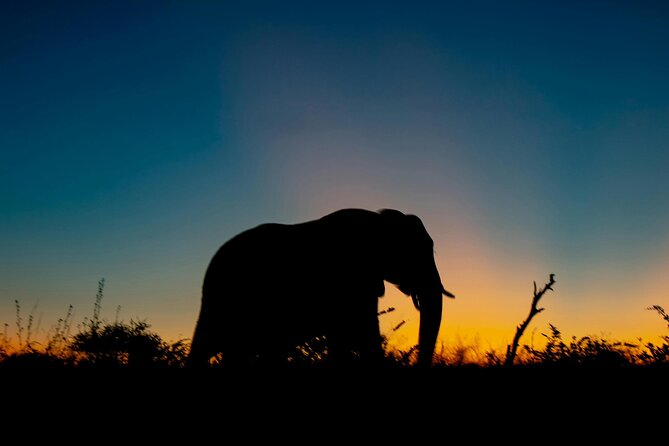 Aquila Game Reserve Sunset Safari - Key points to know before booking