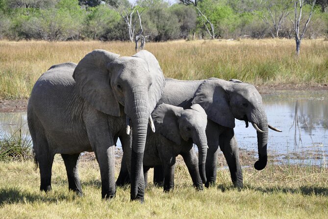 Aquila Game Reserve Sunset Safari - Pickup, timing, and group size