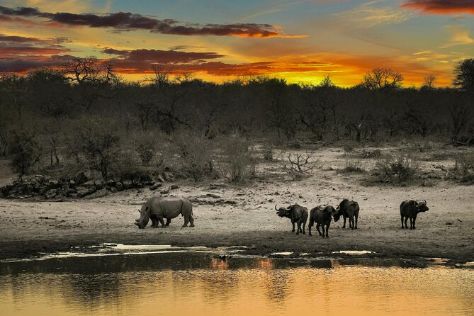 Aquila Game Reserve Sunset Safari - Cancellation and small practical details
