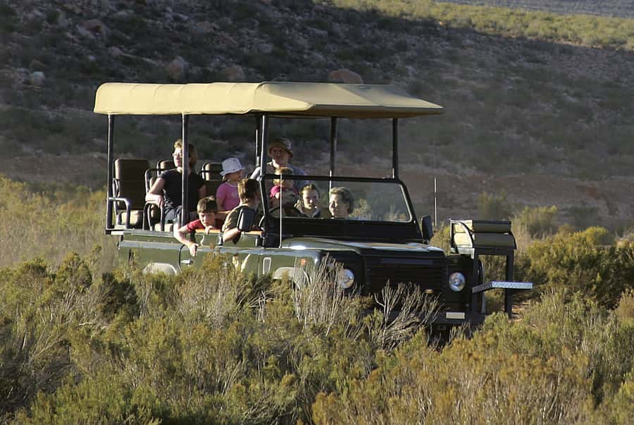 Aquila Reserve: Private Day Tour with Shared Game Drive - The shared 4x4 drive and the Big 5 question
