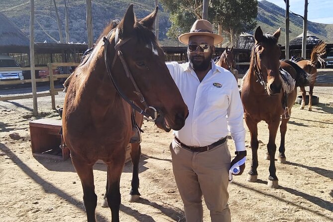Aquila Reserve Safari with Lunch and Wine Tasting - The 2 to 3 hour open-vehicle safari