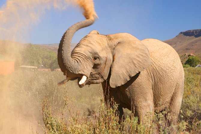 Aquilla BIG5 private Safari Cape Town - Key points at a glance
