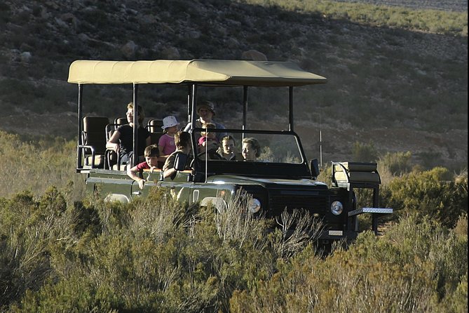 Aquilla BIG5 private Safari Cape Town - The guide can shape the whole day