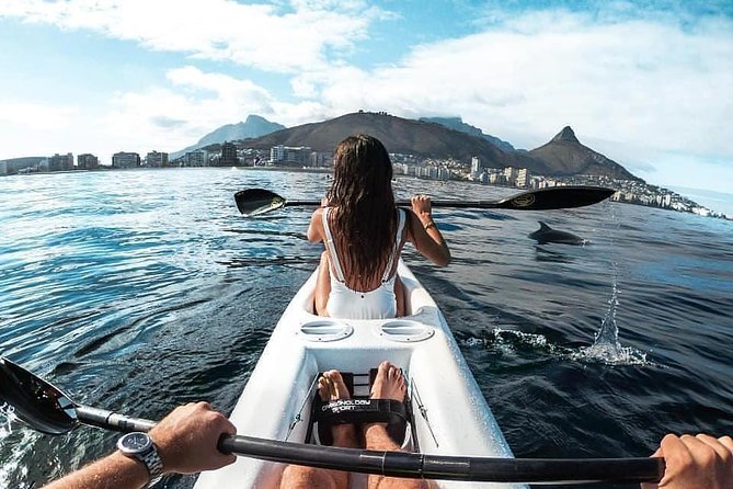Atlantic Outlook Kayak Tour Cape Town - The marine life: exciting, but never guaranteed