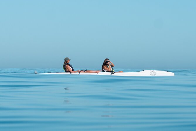 Atlantic Outlook Kayak Tour Cape Town - How beginner-friendly is the kayaking?