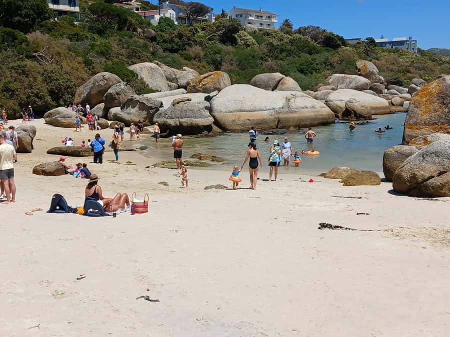 Beach Day at Boulder's Beach & Penguin watching, Half Day - Should you book the Boulders Beach half-day?