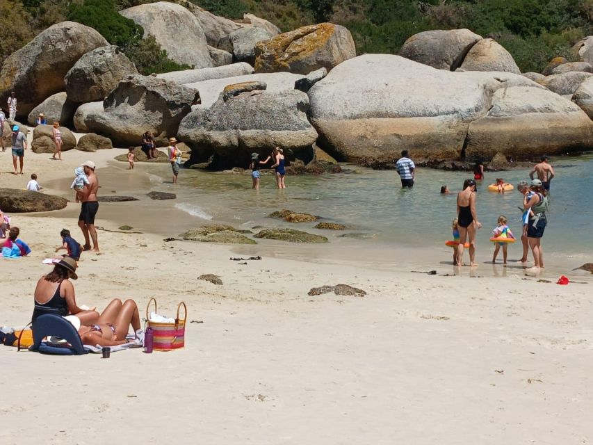 Beach Day at Boulder's Beach & Penguin watching, Half Day - Two hours with the penguins at Boulders Beach
