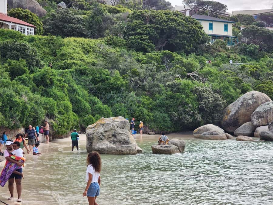 Beach Day at Boulder's Beach & Penguin watching, Half Day - Muizenberg’s bathing huts and the final viewpoint