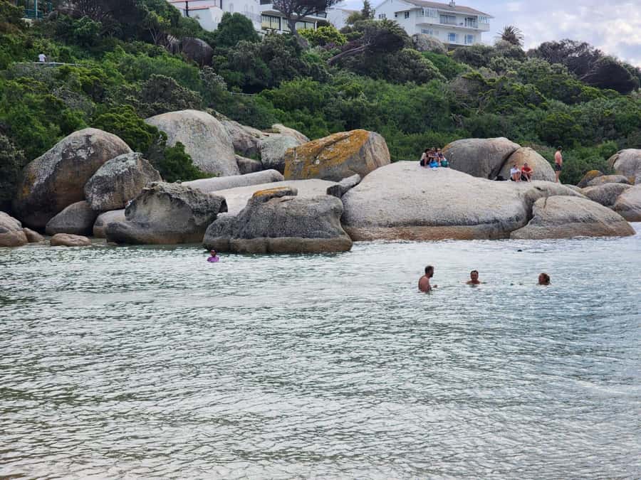 Beach Day at Boulder's Beach & Penguin watching, Half Day - Transport, guides, and the pace of the day
